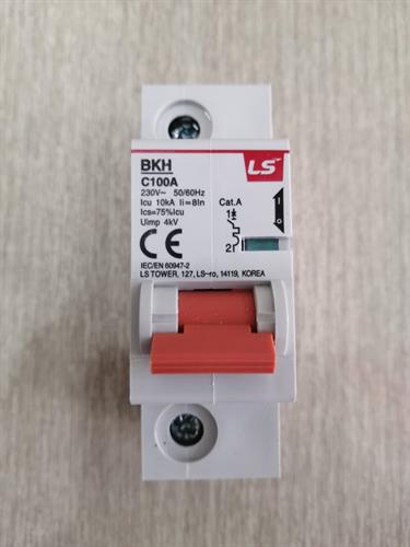 MCB LS 1P 100A 10kA ( BKH )